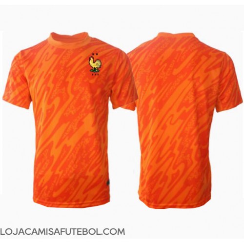 Camisa de Futebol França Goleiro Equipamento Secundário Europeu 2024 Manga Curta